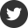 ico_twitter