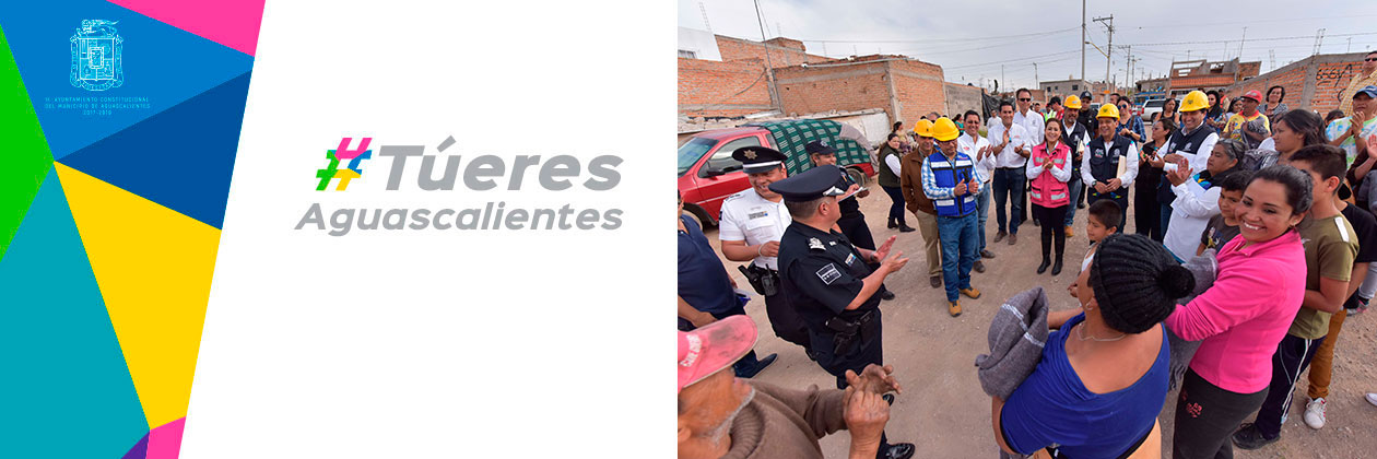 imgs boletines