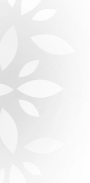 detalle de hojas